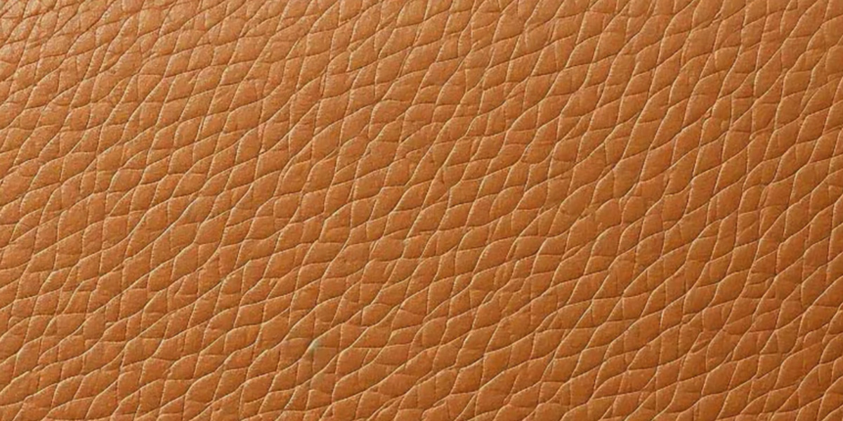 GOTM June Genuine Leather Care 4 Genuine Leather Care 2